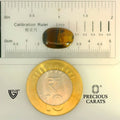 ITLGR_104456_SCALE.webp