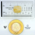 ITLGR_99046_SCALE.webp