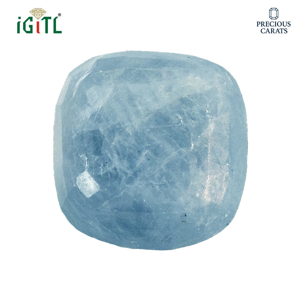 IGITL_194692_TOP.webp