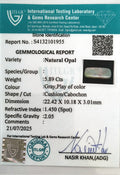 ITLGR_101955_CERTIFICATE.webp