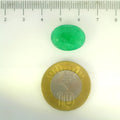 IGITL_205652_SCALE.webp
