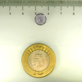 ITLGR_113101_SCALE.webp