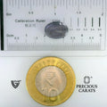ITLGR_101649_SCALE.webp