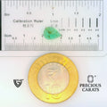 ITLGR_102360_SCALE.webp