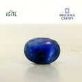 IGITL_200323_BACK.webp