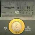 ITLGR_100366_SCALE.webp