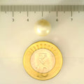 ITLGR_106915_SCALE.webp