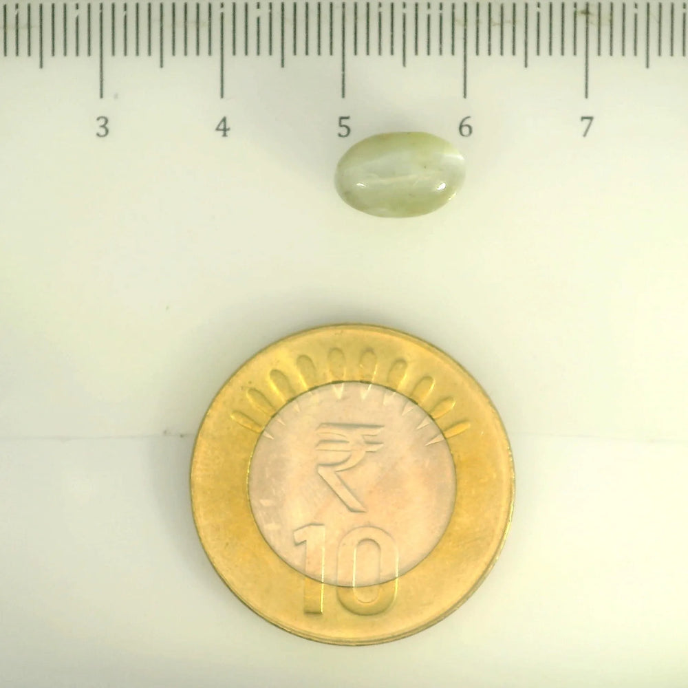 ITLGR_109799_SCALE.webp