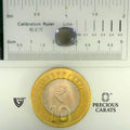 ITLGR_101682_SCALE.webp