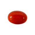 ITLGR_105281_FRONT.png