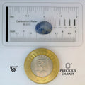 ITLGR_98906_SCALE.webp