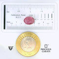 ITLGR_102662_SCALE.webp