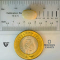 ITLGR_99905_SCALE.webp