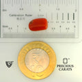 ITLGR_104539_SCALE.webp