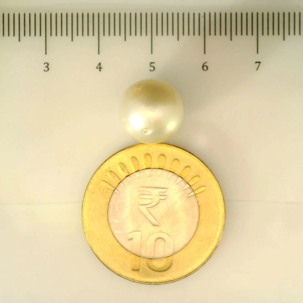 ITLGR_106896_SCALE.webp