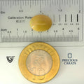 ITLGR_100539_SCALE.webp