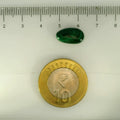 ITLGR_113231_SCALE.webp