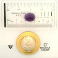 ITLGR_101584_SCALE.webp