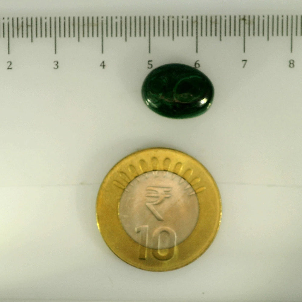 ITLGR_113206_SCALE.webp