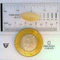 ITLGR_100570_SCALE.webp