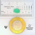 ITLGR_102348_SCALE.webp