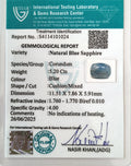 ITLGR_101024_CERTIFICATE.webp