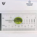 ITLGR_100493_SCALE.webp
