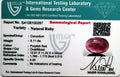 ITLGR_100287_CERTIFICATE.webp