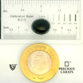 ITLGR_104553_SCALE.webp