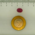ITLGR_112863_SCALE.webp
