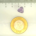 ITLGR_109470_SCALE.webp