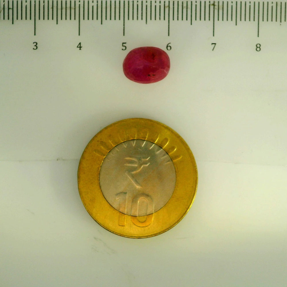 GFCO_39059_17_SCALE.webp