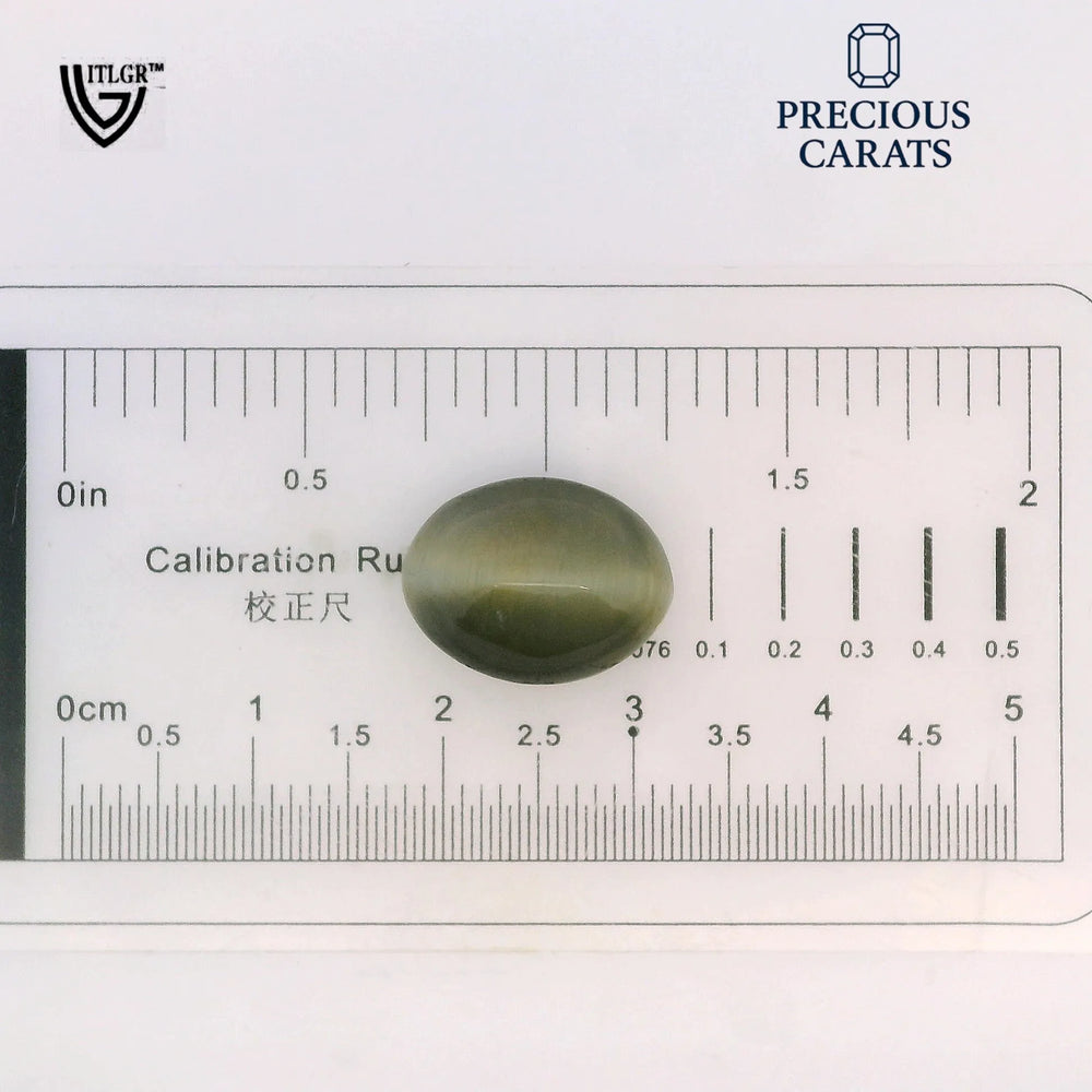 ITLGR_100595_SCALE.webp