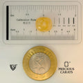 ITLGR_98881_SCALE.webp