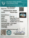 ITLGR_101954_CERTIFICATE.webp