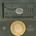 ITLGR_102058_SCALE.webp