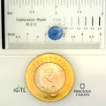 IGITL_200207_SCALE.webp