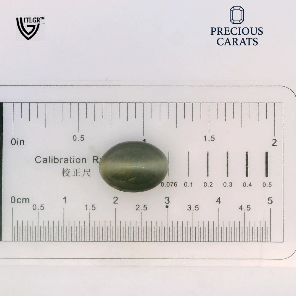 ITLGR_100593_SCALE.webp