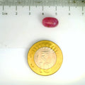 ITLGR_2423_SCALE.webp
