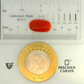 ITLGR_104546_SCALE.webp