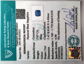 ITLGR_105023_CERTIFICATE.webp