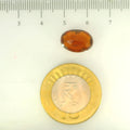 ITLGR_104430_SCALE.webp