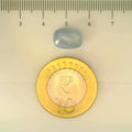 ITLGR_106695_SCALE.webp
