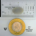 ITLGR_101912_SCALE.webp