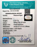 ITLGR_101882_CERTIFICATE.webp