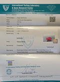 ITLGR_2426_CERTIFICATE.webp