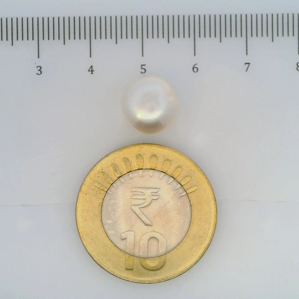 ITLGR_107030_SCALE.webp