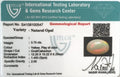 ITLGR_100547_CERTIFICATE.webp