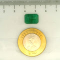 IGITL_203377_SCALE.webp