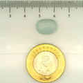 ITLGR_109515_SCALE.webp